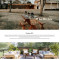 Website: Template Multi Pager About Furniture CMS Monthly (Subscription)